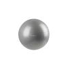 X-Fact Gym Ball