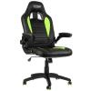 Nitro Concepts Scaun Gaming C80 Motion, Black/Green