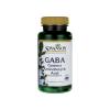 Swanson Gaba 100 caps