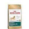 Royal Canin Golden Retriever Adult 12 Kg