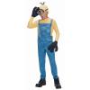 Disney Costum Minion Kevin