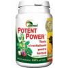 STAR INTERNATIONAL Potent Power 100cpr