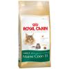 Royal Canin Maine Coon 31 4kg