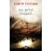 Karin Fossum Nu privi inapoi