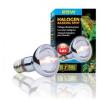 Hagen Exo Terra Sun-Glo Daylight Halogen 100W 110V (PT-2183)