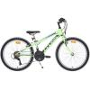 CrossBike Speedster 24