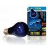 Hagen Exo Terra Night Glo 50W (PT-2126)