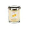 Copenhagen Candles Lumanare parfumata Warmth Florida Grapefruit S