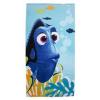 Character World Prosop Finding Dory