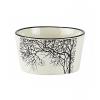 Bovictus Bol - Tree Nostalgia 400ml