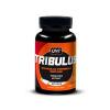 QNT Tribulus 60 capsule