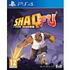 Wired Productions Shaq Fu A Legend Reborn