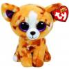 Beanie Boos Jucarie De Plus Ty Beanie Boo Pablo The Chihauhau