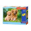 Castorland Puzzle Mereu impreuna, 120 piese