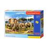 Castorland Puzzle Dimineata pe Kilimanjaro, 300 piese