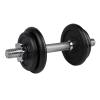 X-Fact Paint Dumbell