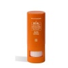 Bruno Vassari Ruj Sun Defense Protection Stick Solar SPF 50
