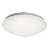 Spot-Light Winner 3105016