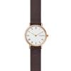 Skagen Signatur SKW2760