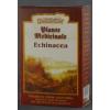 Dacia Plant CEAI ECHINACEA 50gr