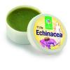 Steaua Divina Crema de echinacea 20gr