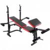 FitTronic B500
