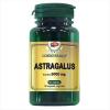 Cosmo Pharm Astragalus Extract 450mg echivalent 9000mg 60cps Premium
