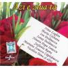 Various Artists -AZI E ZIUA TA-CD