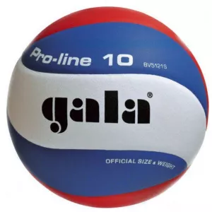 Gala Minge de volei BV5121S