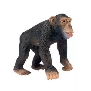 Schleich Figurina in forma de cimpanzeu mascul 14189