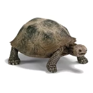 Schleich Figurina in forma de broasca testoasa giganta 14601