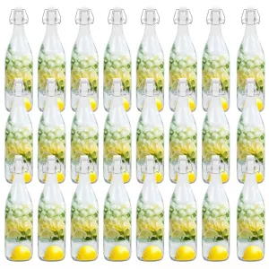 vidaXL Sticlă cu dop ermetic, 24 buc., 1 L 50827
