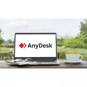 AnyDesk Professional