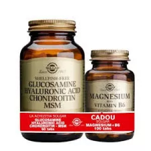 Solgar Pachet Glucosamine Hyaluronic Acid Chondroitin MSM 60tb + Magnesium cu B6 100 tablete