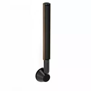 Bang and Olufsen Beolab 28 wall Black Anthracite