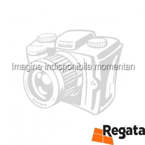 Korner Colt exterior stejar parchet LP55.1 264