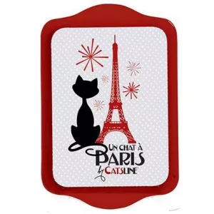 Cartexpo Tava Cat Rouge Tour Eiffel