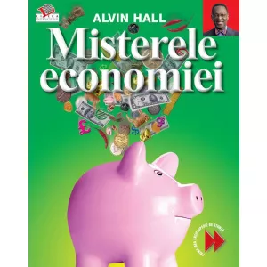 Litera Misterele economiei