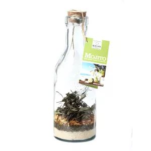 Quai Sud Amestec pentru cocktail - Mojito 150gr