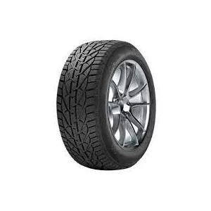 RiKEN SNOW 205/55 R16 91T