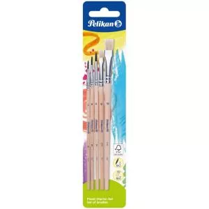 Pelikan Set 5 pensule Starter, Seria 24 - 2, 4, 6 + SERIA 613F - 6, 10 700566