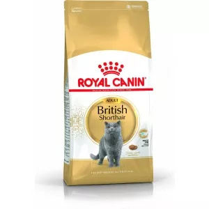 Royal Canin British Shorthair 10 kg