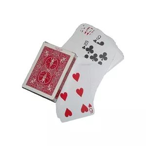 United States Playing Cards Company Bicycle Fata Dubla