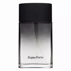 Zegna Forte EDT 100 ml