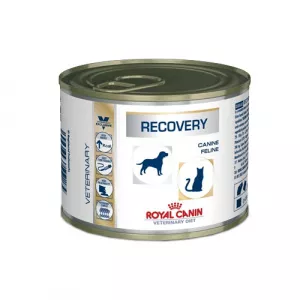 Royal Canin Royal Canin Recovery Canine/Feline 195g