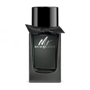 Burberry Mr. Eau de Parfum EDP 50 ml