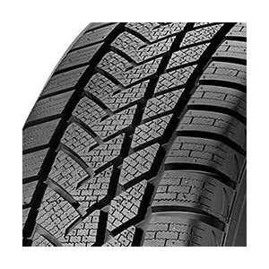 Sunny Wintermax NW211 195/55 R15 85H