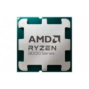 AMD Ryzen 9 9900X Tray