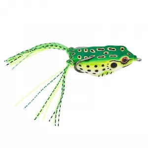 Baracuda Momeala broasca 11