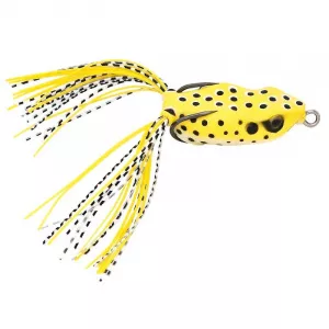Baracuda Momeala broasca 8